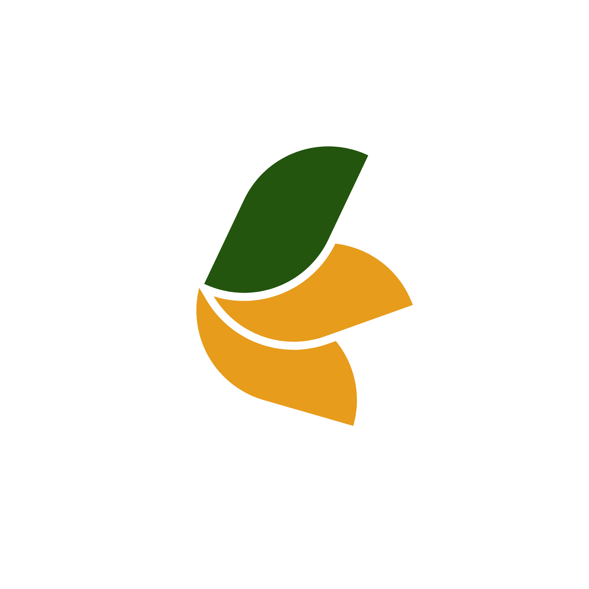 Everia Nav Logo